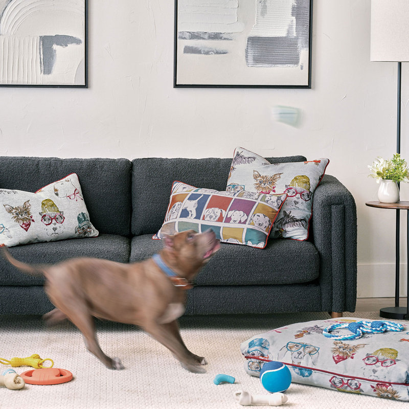 Pets Square Pillow Cover & Insert