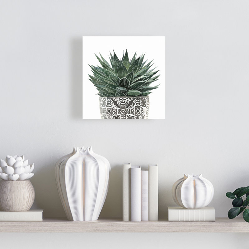 Toile succulente bohémienne zèbre | Décoration botanique, H 8 po x l 8 po