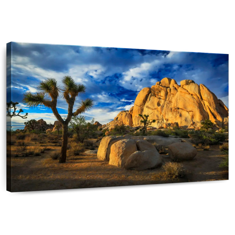 Nicci Joshua Tree Park Old Woman Rock, H 32 po x l 48 po