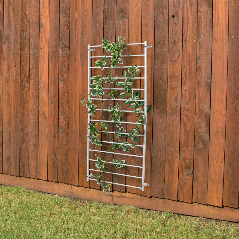 127Cm H x 61Cm W Metal Lattice Panel Trellis