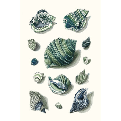 Celadon Shells II - Painting on Canvas