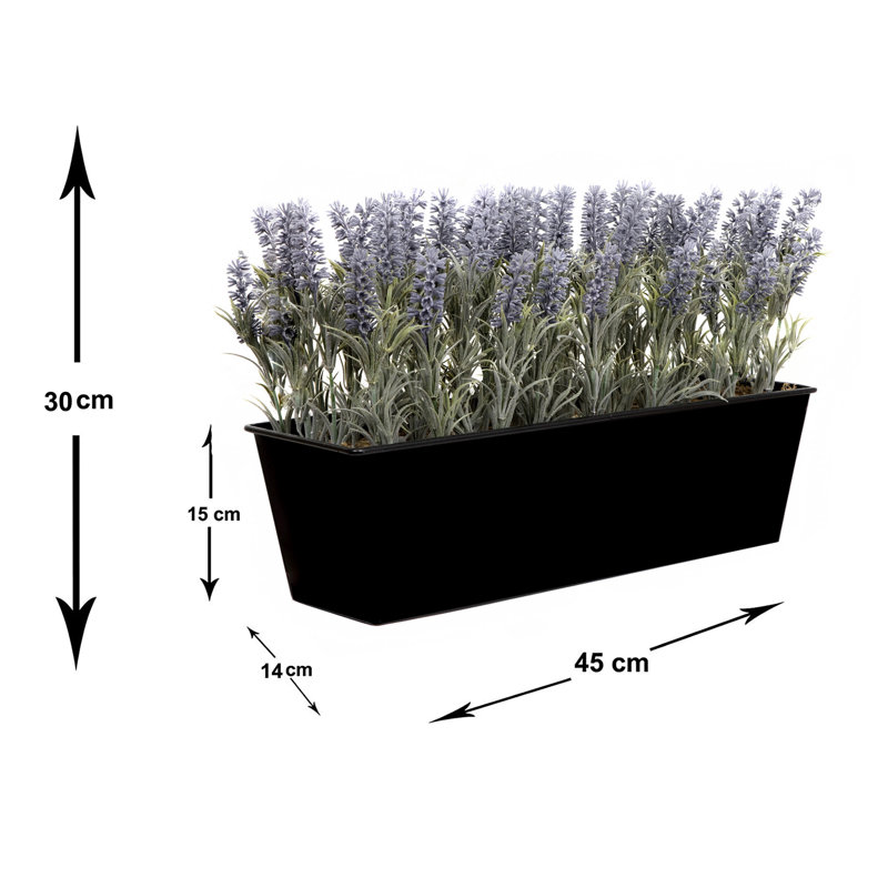 Lavender in Rustic Tin Planter (Window Box), 50.5cm H x 17.8cm W x 18.1cm D, Black