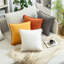 Ensemble de 2 housses de coussin en velours (insérer inclus)-97911546