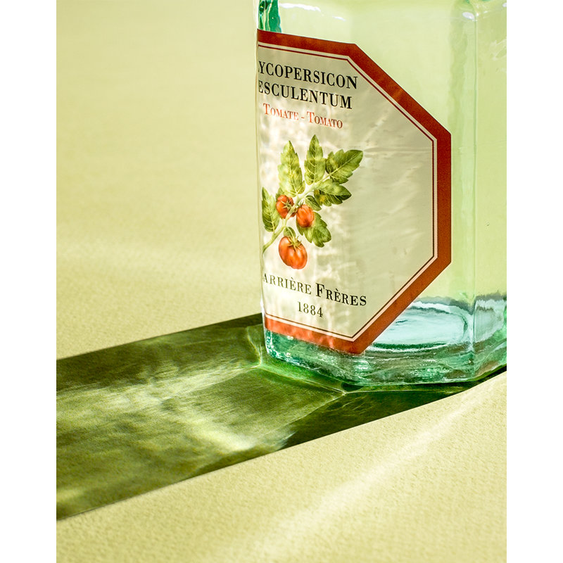 Fruits Diffuser, Tomato