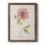 Soft Peony - peinture sur toile encadrée-61358263-61358268
