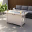 Foyer de table en aluminium 50 000 BTU