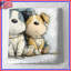 Couvre-lit pour chien Three Puppies-125273031