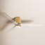 Ventilateur de plafond avec lumières DEL Brocken-88410783-88410780