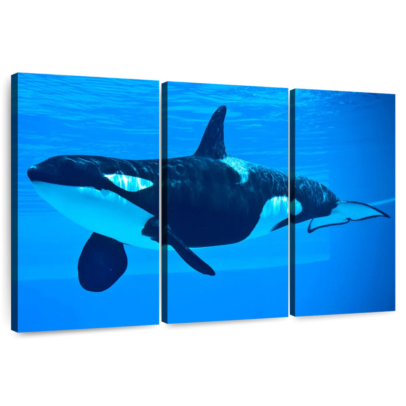 Brampt Friendly Killer Whale, 28" H x 45" W