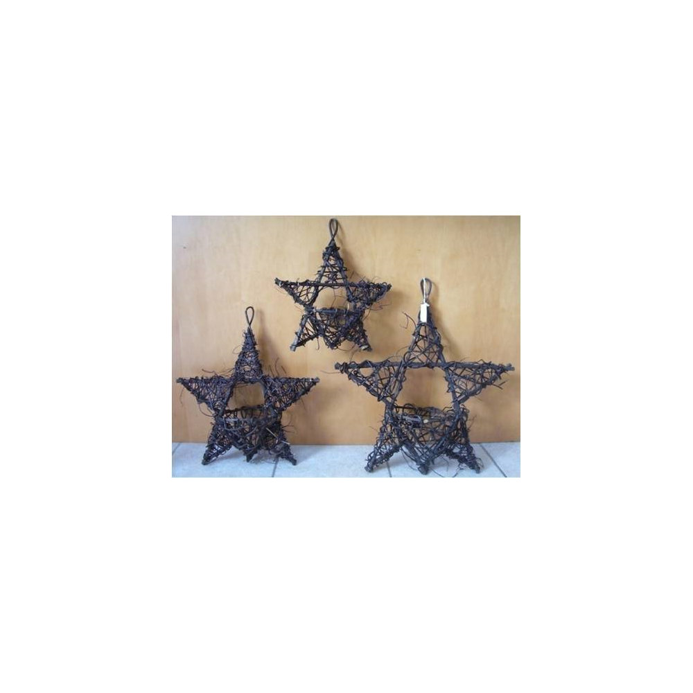 Vine Hanging Star Wicker Basket August Grove®