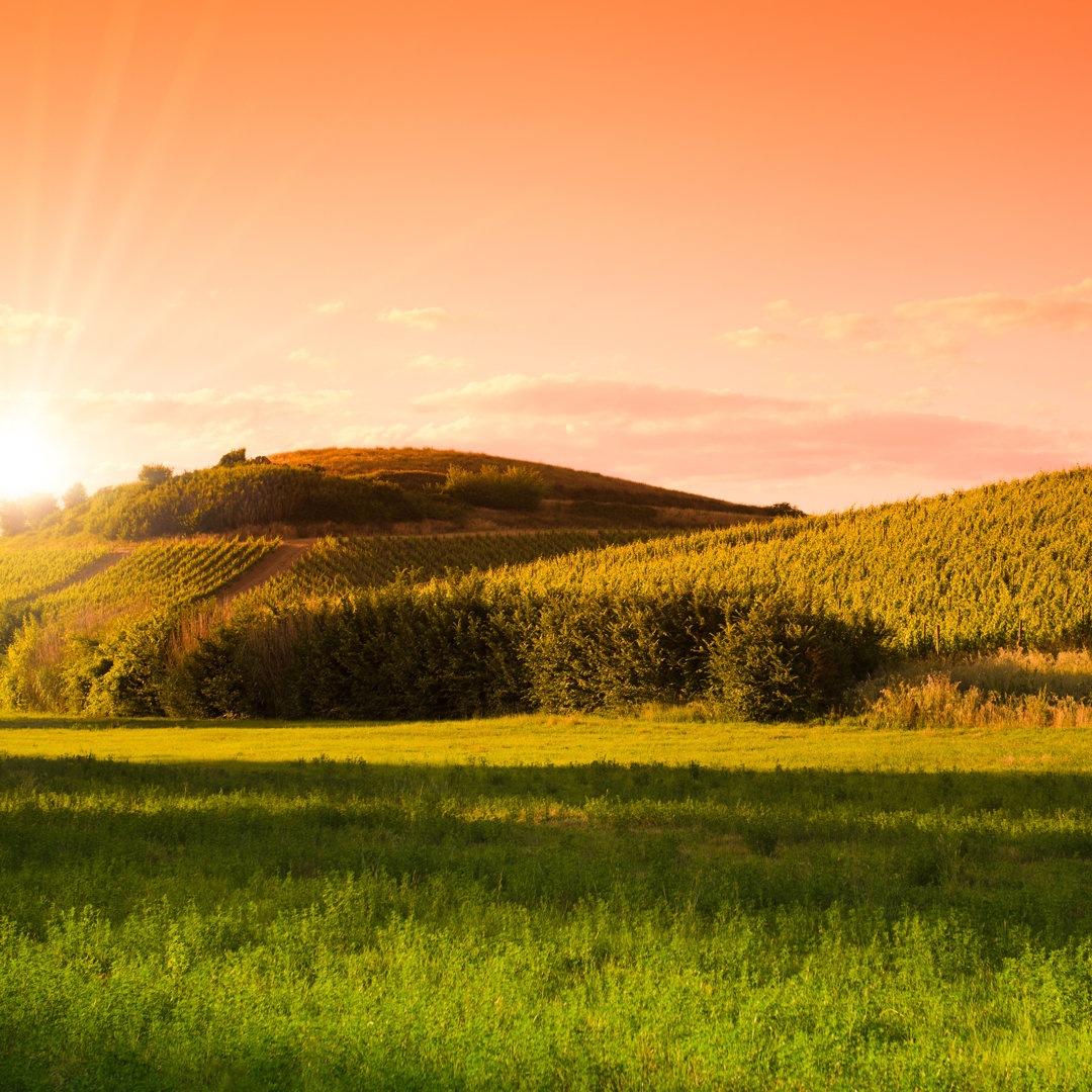 Sonnenuntergang auf Hügeln