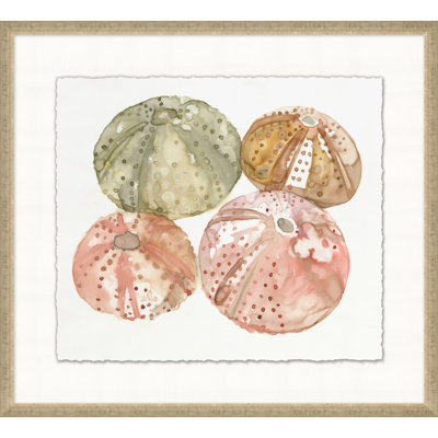 Urchin Quad 1 - Peinture encadrée sur papier