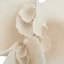 Sculpture corail blanc