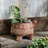 Arminan Planter-2116205871-2084642584