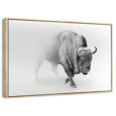 Wild Bison