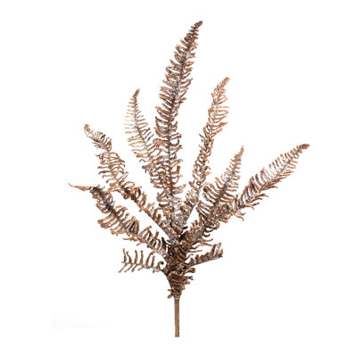 Fern Steam