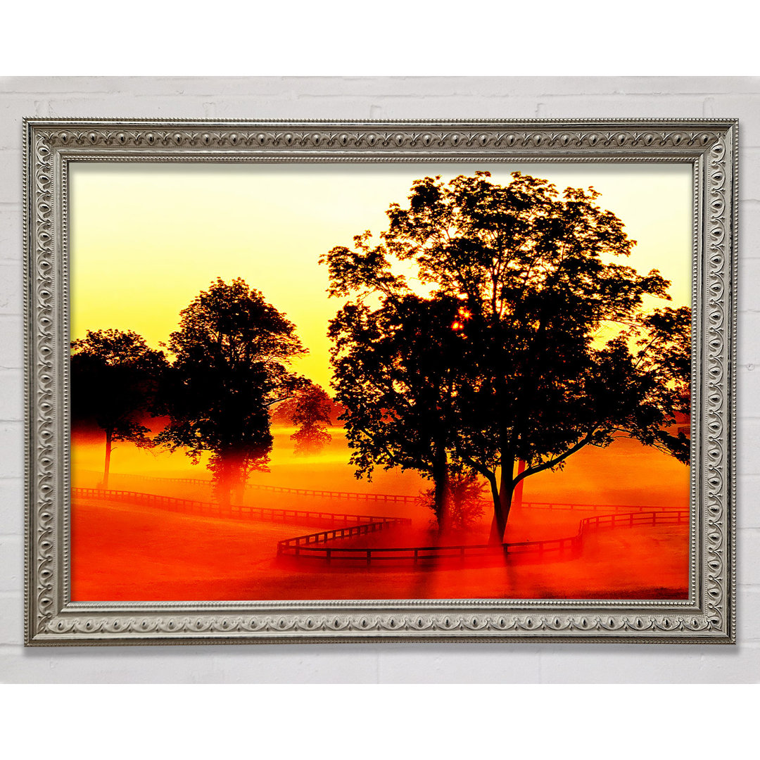 Orange Treeline Mist - Druck