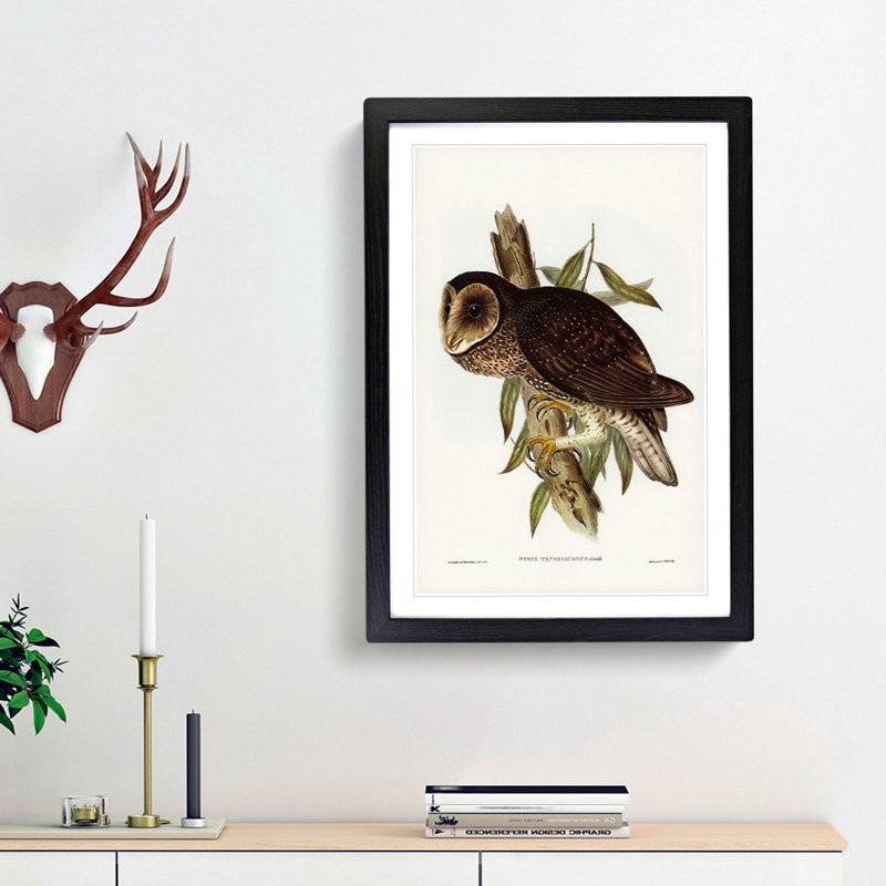 Sooty Owl by Elizabeth Gould - Picture Frame Painting Print, Black Framed, 48cm H x 36cm W x 2cm D