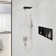 hansgrohe Pulsify E Showerarm E,15"