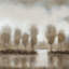 Subtle Reflection Subtle Reflection II by Timothy O' Toole - Gallery-Wrapped Canvas Giclée-20815037-72688626-72688627