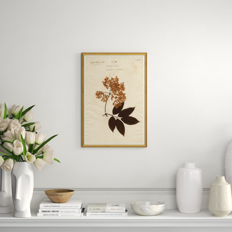 Herbarium 9 Giclee Print