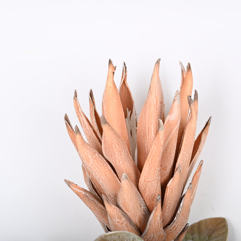 Protea Cynaroides, arrangement floral, longue tige, Orange