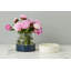 Vase 2 en 1-946938860