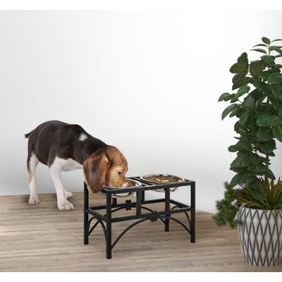 Elevated Double Dog Food And Water Bowls With Heavy-Duty Stainless Steel Stand For Pets