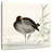 Brampt Moorhen-109203777