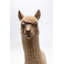 Decorative Happy Alpaca figurine-100141233