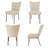 Daina Modern Kitchen Dining Chairs, Upholstered Dining Chairs, Conference Chairs (2 Chairs)-843126818-818197632