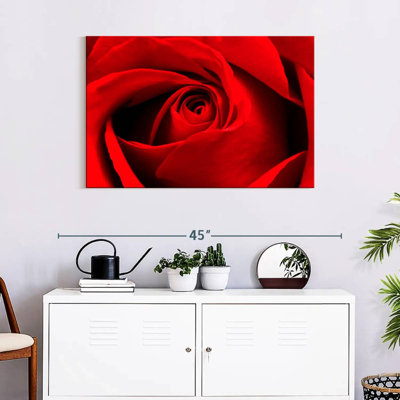 Harnek Close Up Of Red Rose