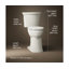 Kelston Continuousclean Tall Two-Piece Elongated Toilet 1.28 GPF-221501734