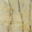 Treeline Light I by Jennifer Goldberger Hand Embelished Textured Framed Art Print Matted under Glass-124199505
