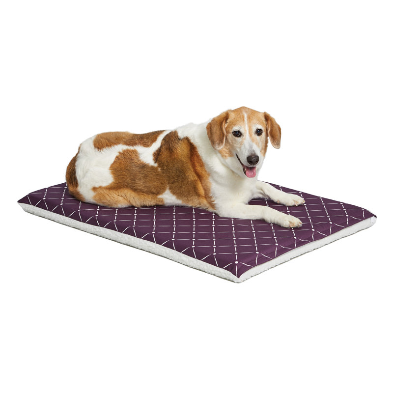 Lit pour animaux Paxton, Prune / molleton, l 24 po x P 18,25 po x H 2,25 po