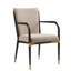 Ensemble de 2 chaises d'appoint luxueuses et luxueuses, noir et luxueux, cadre en métal