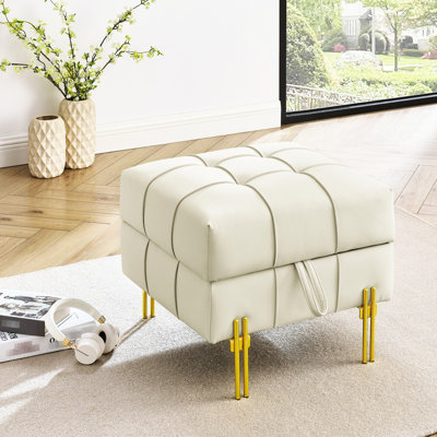 Pet - Rangement en cuir beige Scratch - 22 po avec pieds en métal séduisants, rangement, pieds en acier inoxydable doré, vestibule