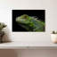 Tête d'iguane verte-108842982