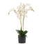 60cm Faux Plant in Pot Liner-101685115