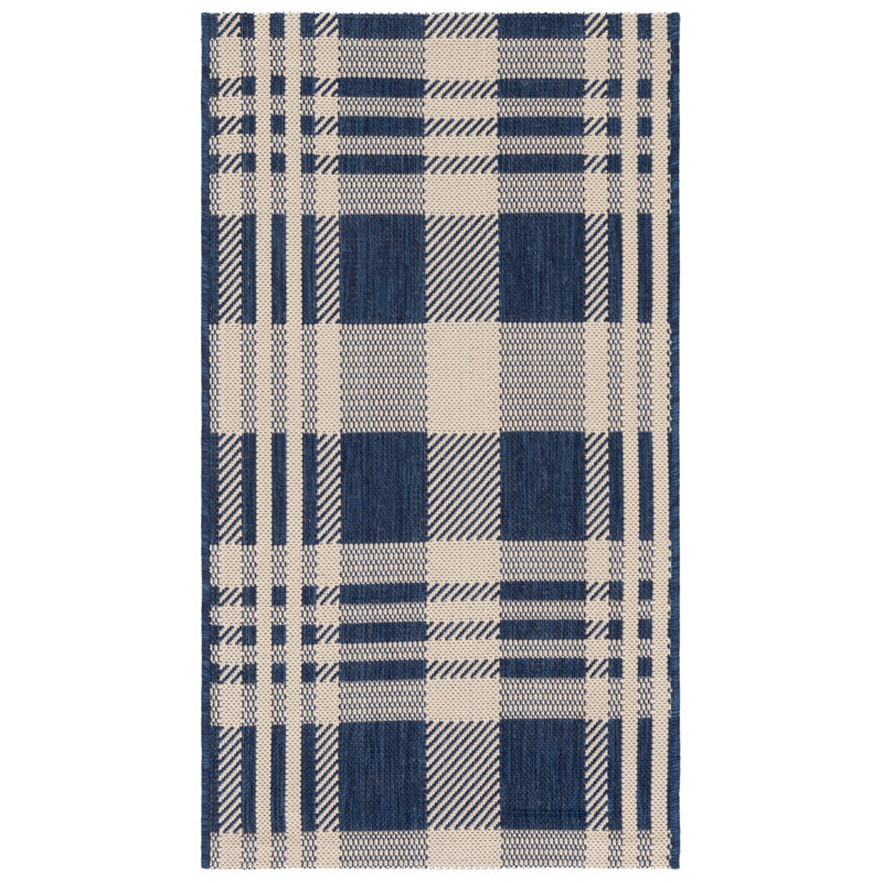 Janissa Performance Plaid Indoor/Outdoor Area Rug, Rectangle 2' x 3'7"