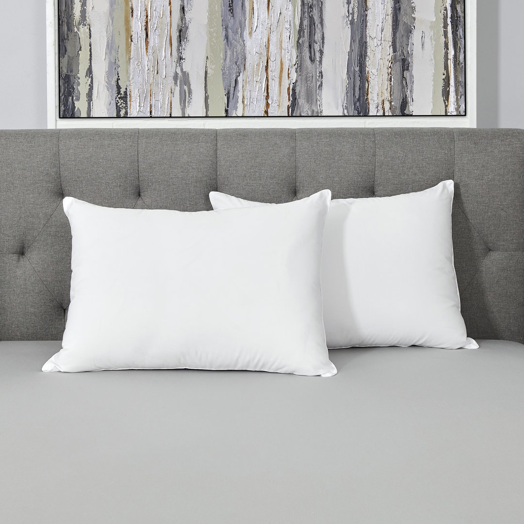 Sealy Healthy Nights Pillow Sealy