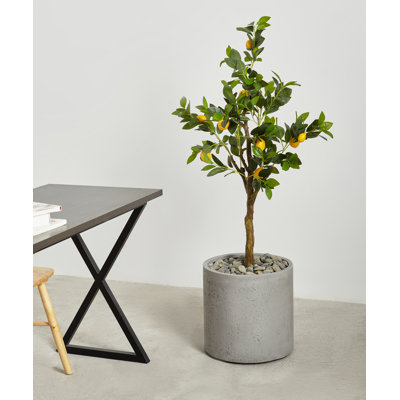 Jardinières en pot