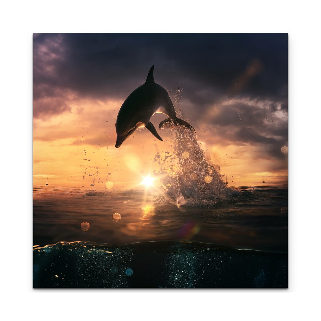 Fotodruck Springender Delphin bei Sonnenuntergang