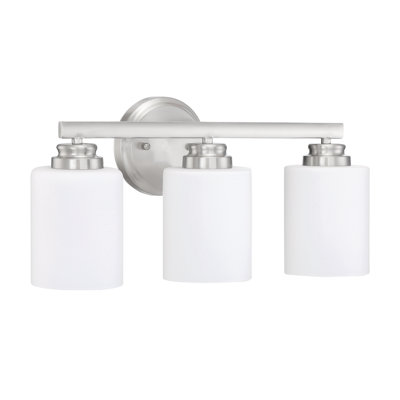 3 - Light Dimmable Vanity Light