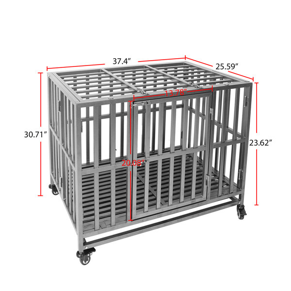 ProSelect Empire Cages - Medium