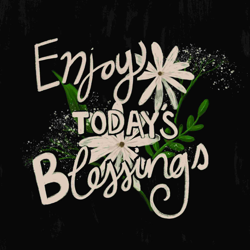 Enjoy Todays Blessings, H 20 po x l 20 po