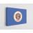 " Minnesota State Flag "-1799435281