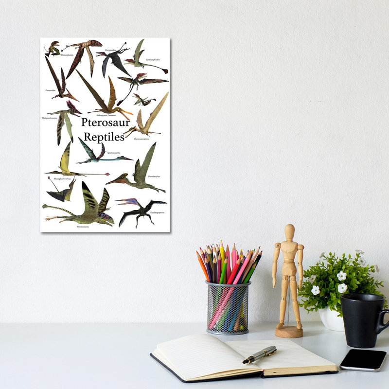 Poster Of Various Flying Pterosaur Reptiles During The Prehistoric Age by Corey Ford - Wrapped Canvas Print