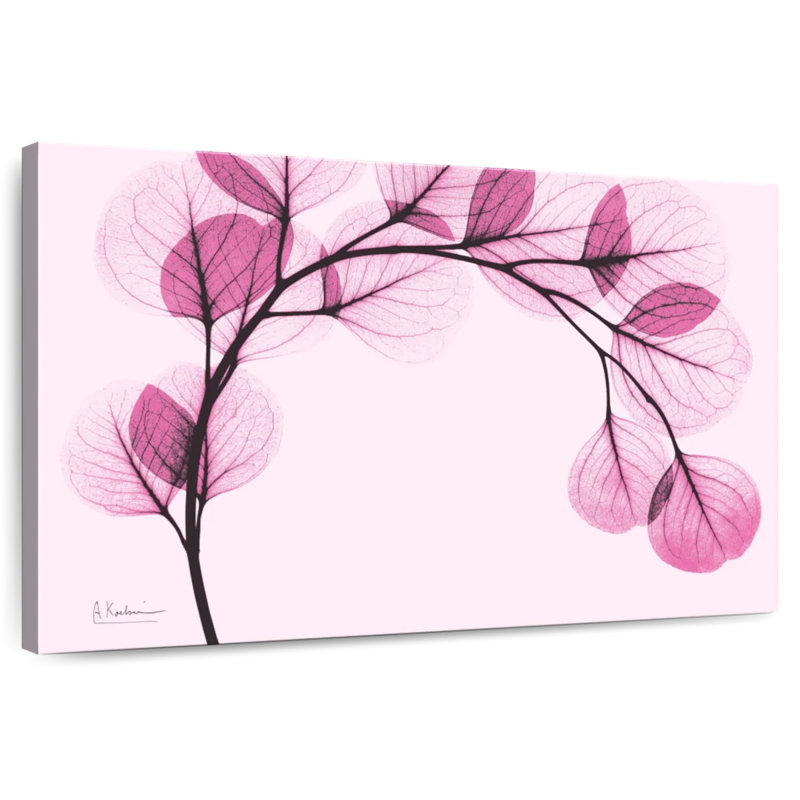 Harnek Pink Eucalyptus I