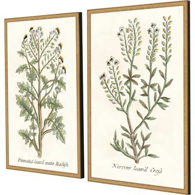 Botanical Plants II Set by Giclee Studio